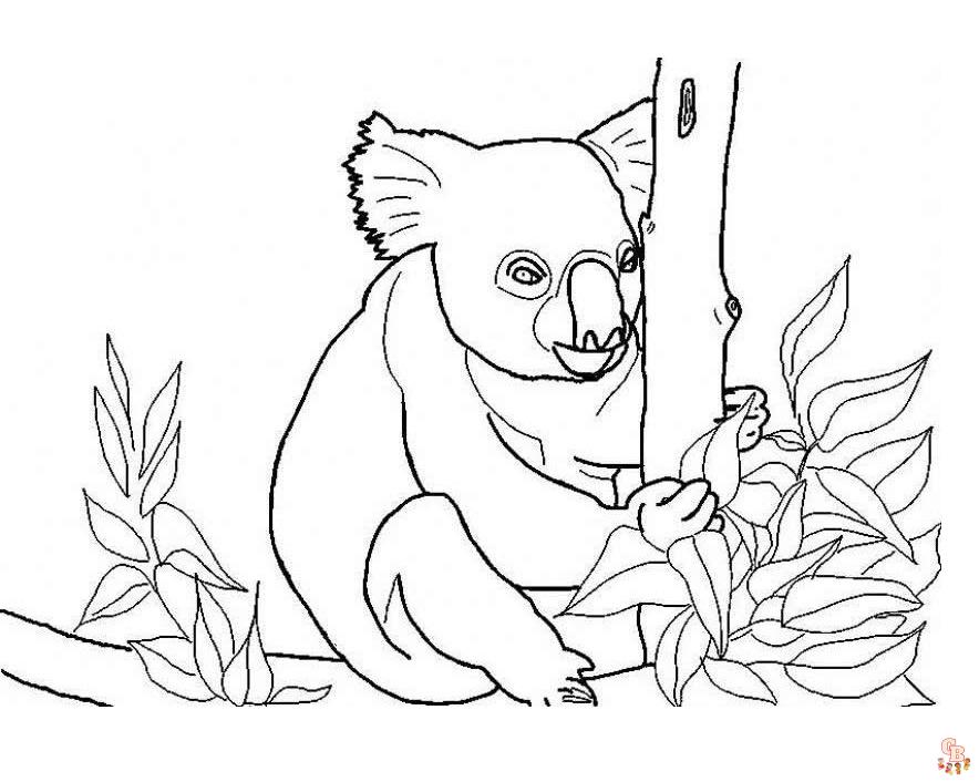 30+ Divertidas dibujos Koala para colorear para niños