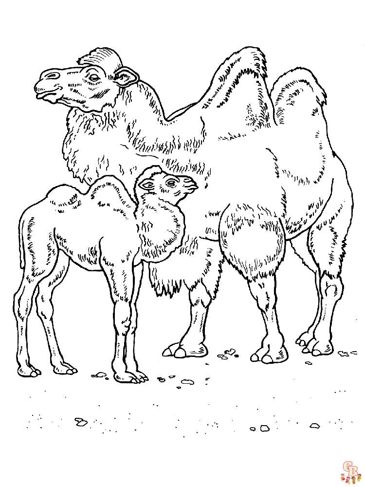 camellos para colorear 13