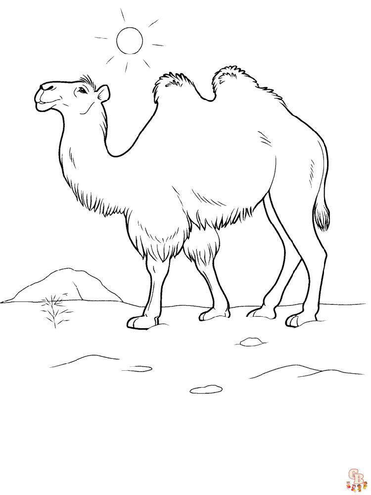 camellos para colorear 14