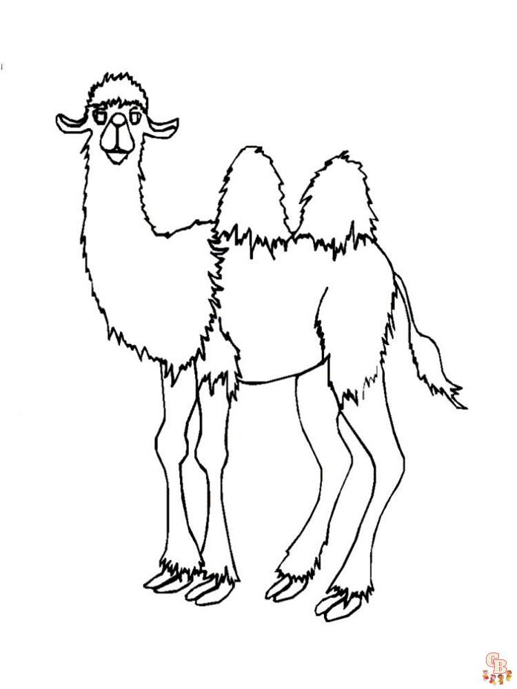 camellos para colorear 15