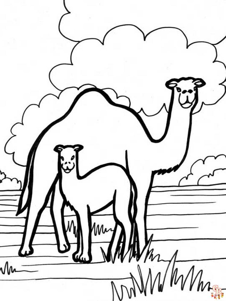 camellos para colorear 17