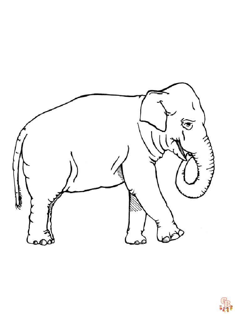elefantes para colorear 55