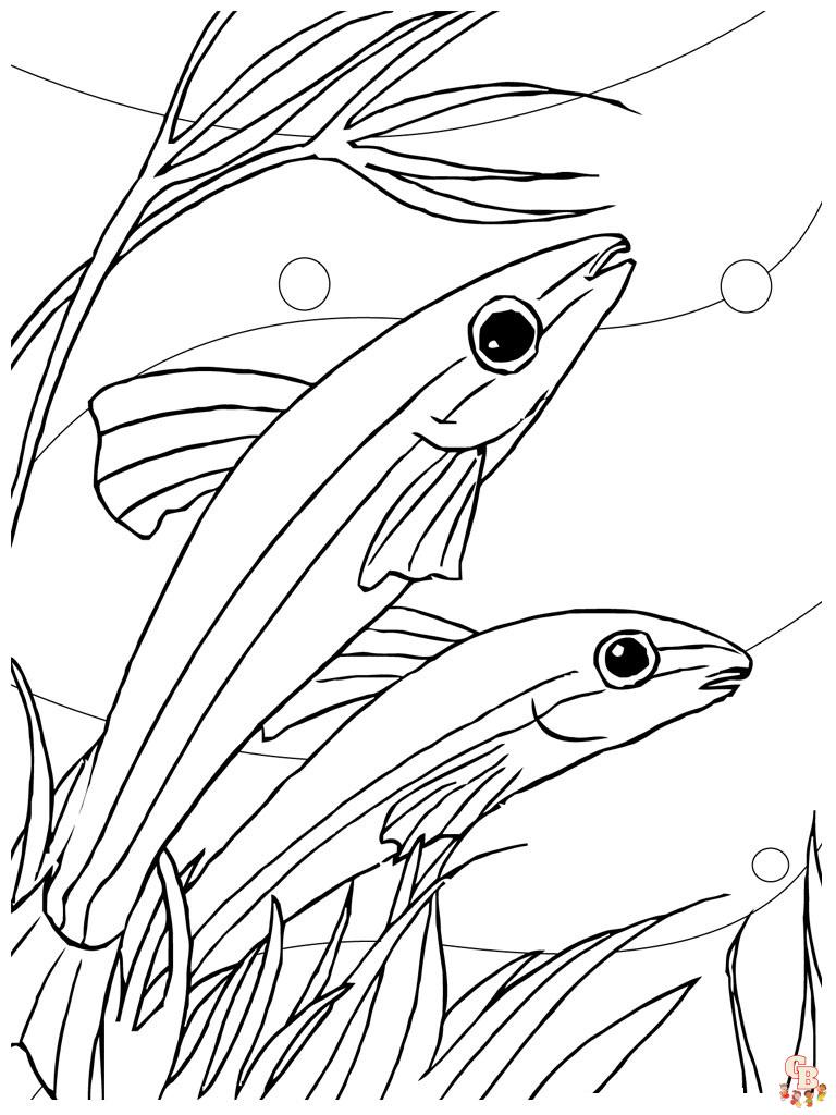 peces para colorear 31 1