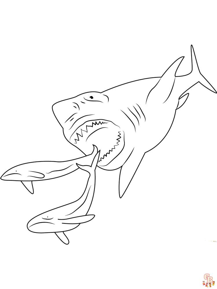 tiburones para colorear 3