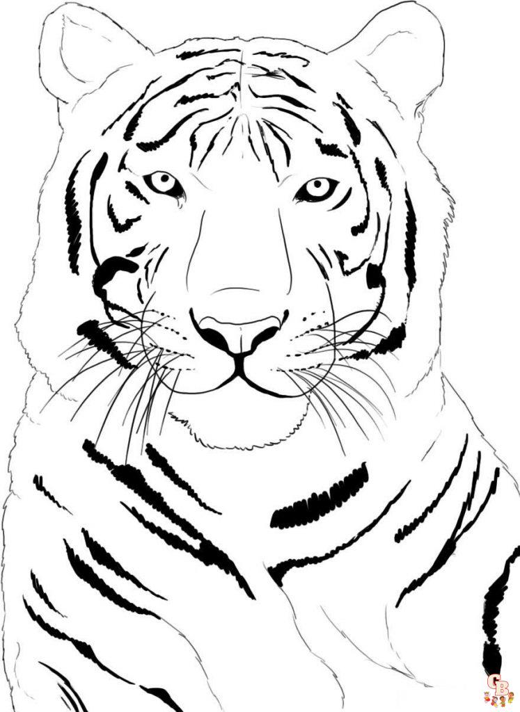 tigres para colorear 14