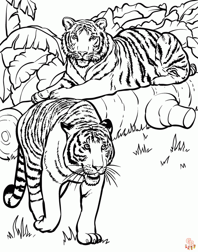 tigres para colorear 4