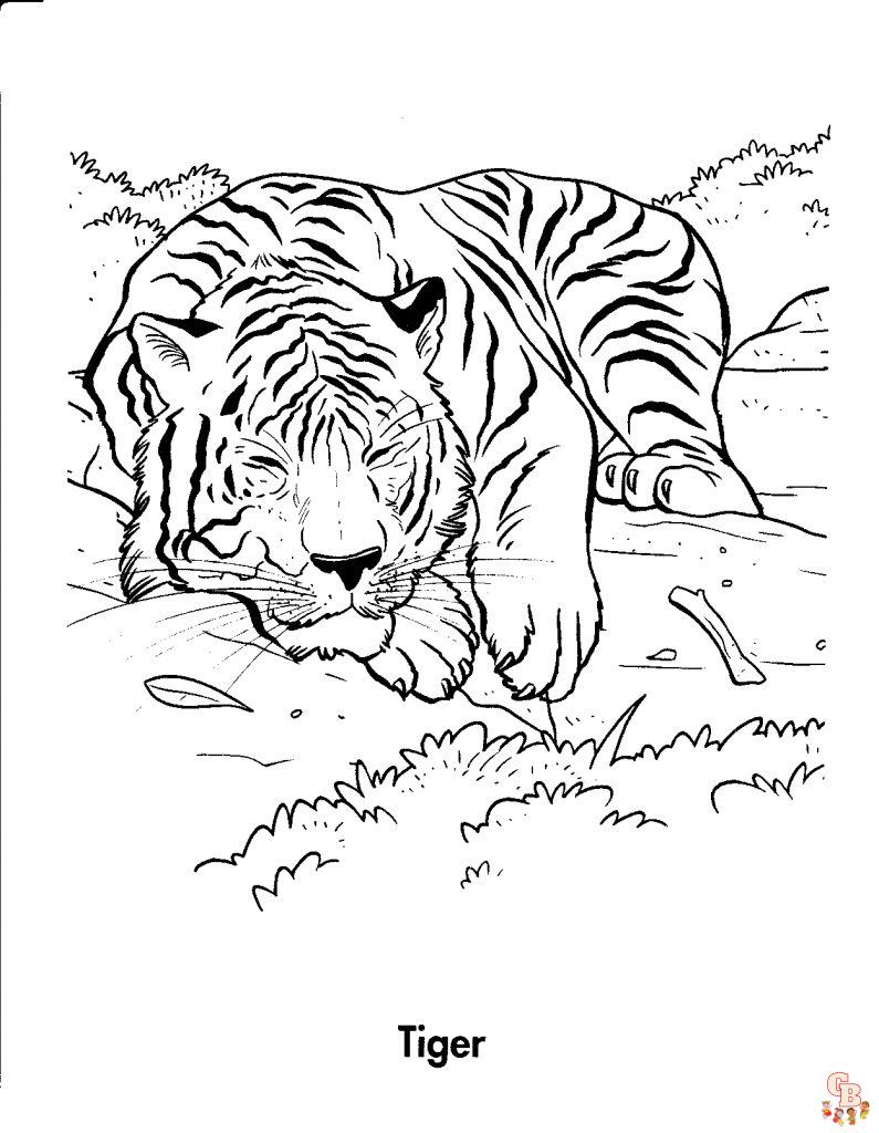 25+ Dibujos de tigres para colorear para ninos