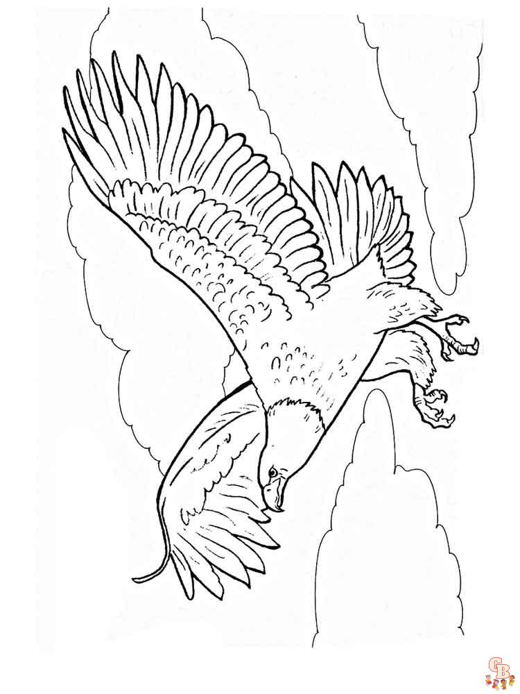 Dibujo de aves rapaces fotografías e imágenes de alta resolución  Alamy