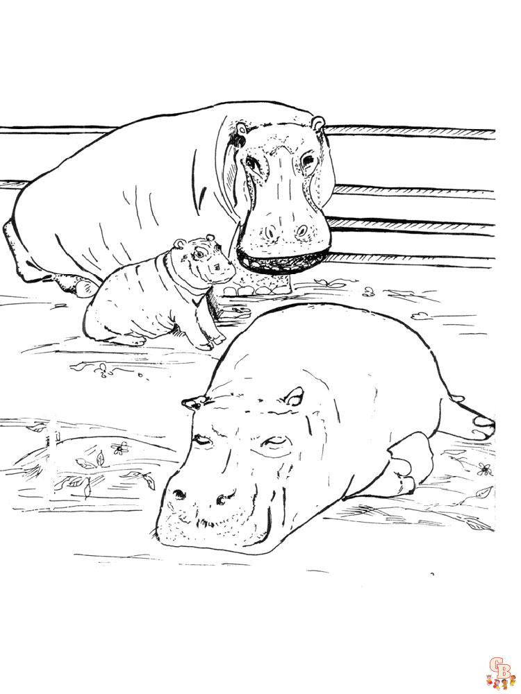 hipopotamos para colorear 19