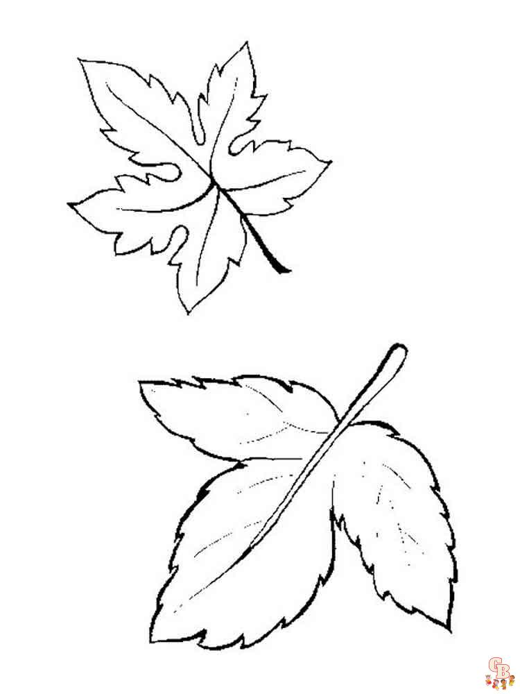 hojas para colorear 3