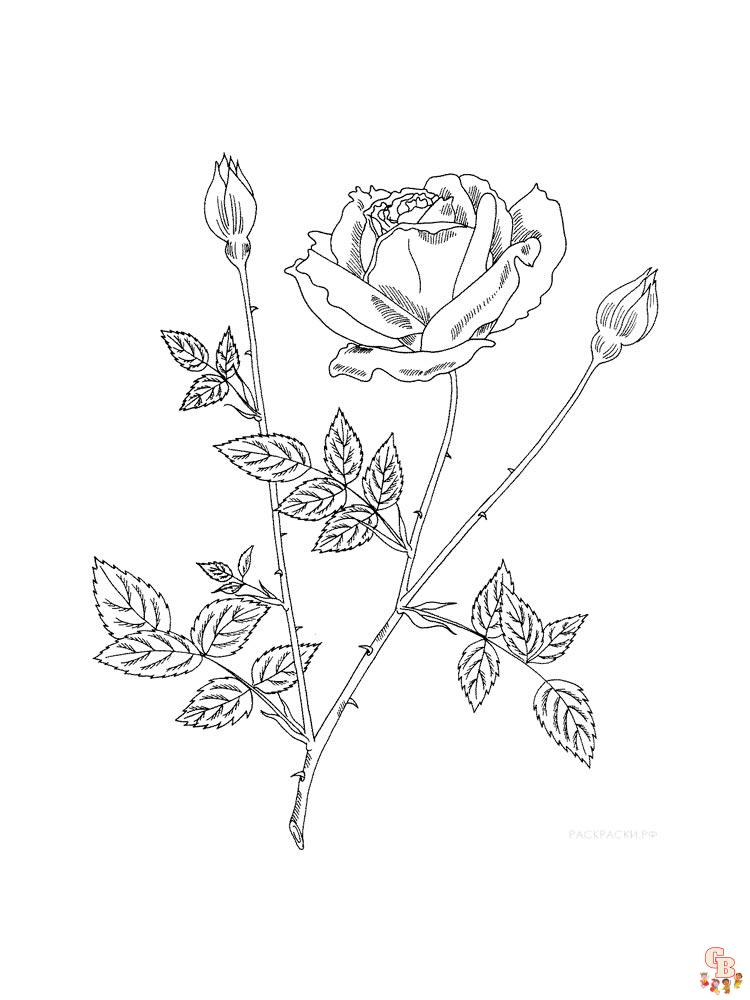  Dibujos de Flores y Rosas Fáciles  Paso a Paso 