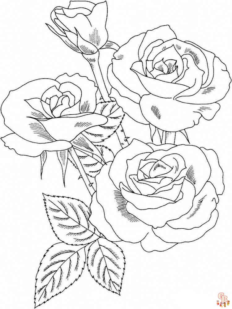 rosas para colorear 11