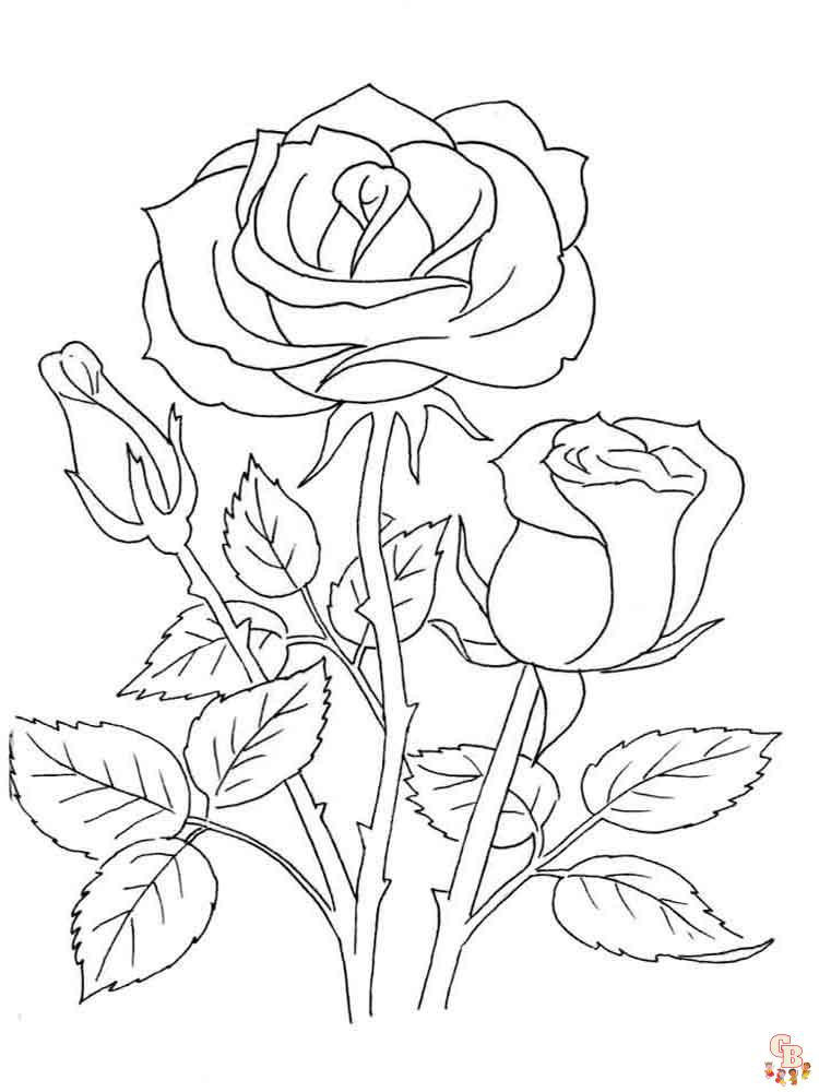 rosas para colorear 29